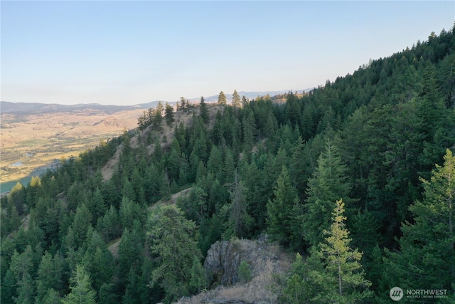 111 Eaglebluff, Oroville, WA 98844 - photo 9