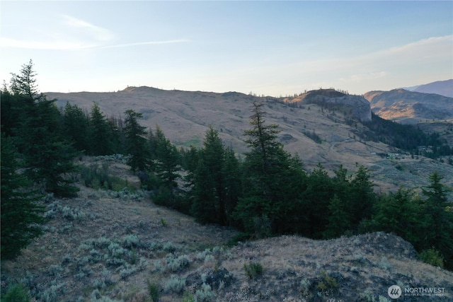 111 Eaglebluff, Oroville, WA 98844 - photo 25
