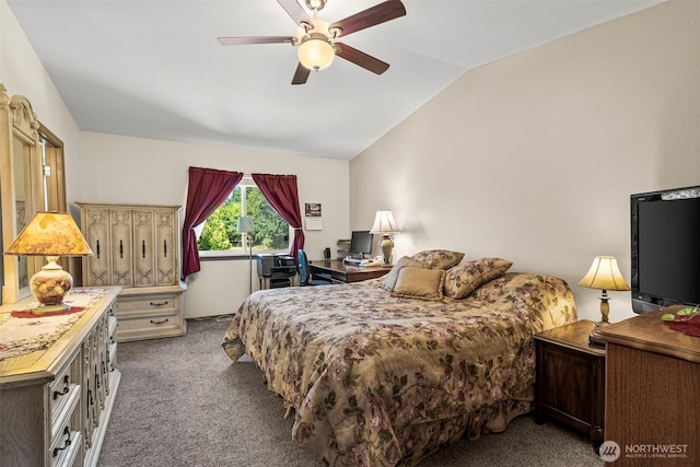 10311 249th Street Ct E, Graham, WA 98338 - photo 10