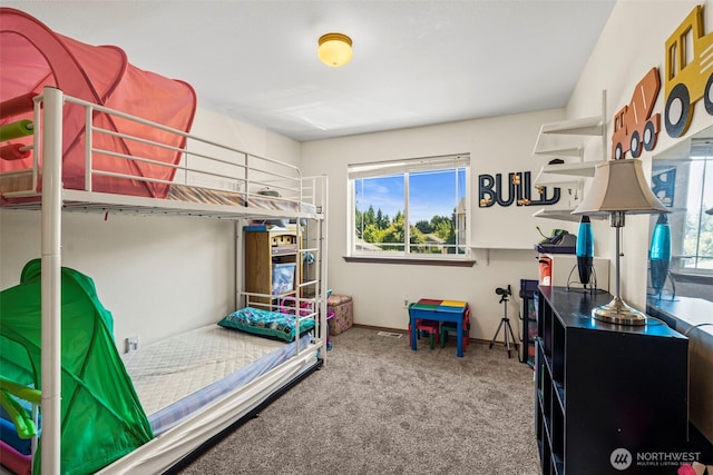 10311 249th Street Ct E, Graham, WA 98338 - photo 12