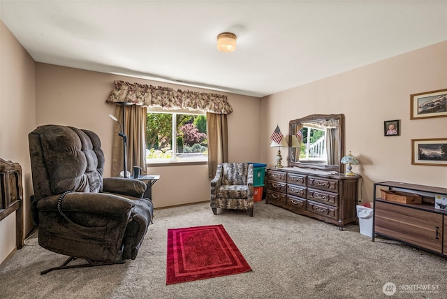10311 249th Street Ct E, Graham, WA 98338 - photo 15