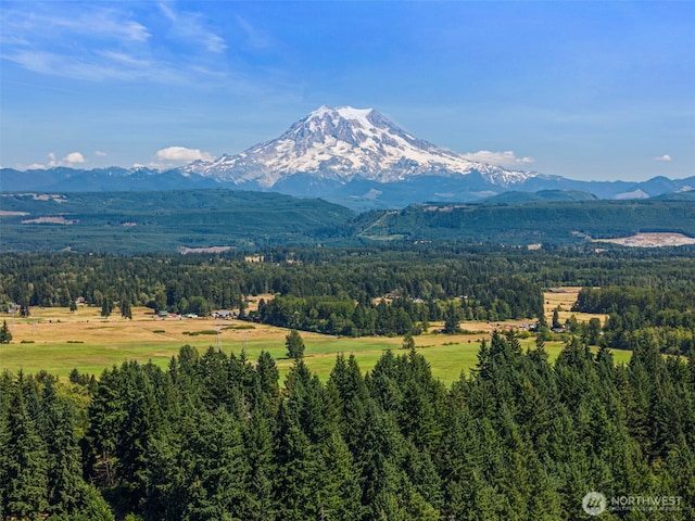 10311 249th Street Ct E, Graham, WA 98338 - photo 23