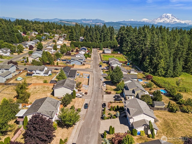 10311 249th Street Ct E, Graham, WA 98338 - photo 22