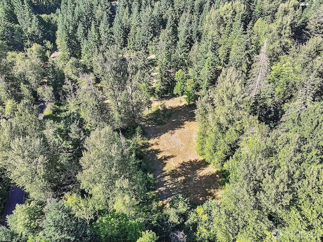 0 Fern Meadow Rd, Stevenson, WA 98648 - photo 2
