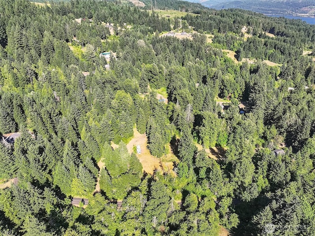 0 Fern Meadow Rd, Stevenson, WA 98648 - photo 3
