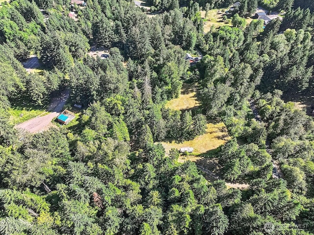 0 Fern Meadow Rd, Stevenson, WA 98648 - photo 4
