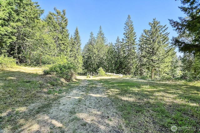 0 Fern Meadow Rd, Stevenson, WA 98648 - photo 7