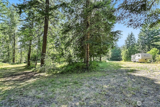 0 Fern Meadow Rd, Stevenson, WA 98648 - photo 8