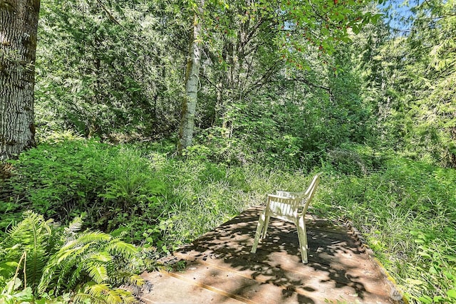 0 Fern Meadow Rd, Stevenson, WA 98648 - photo 9