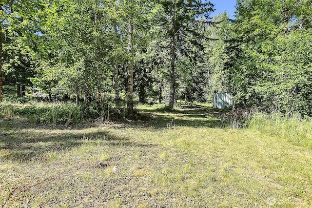 0 Fern Meadow Rd, Stevenson, WA 98648 - photo 15