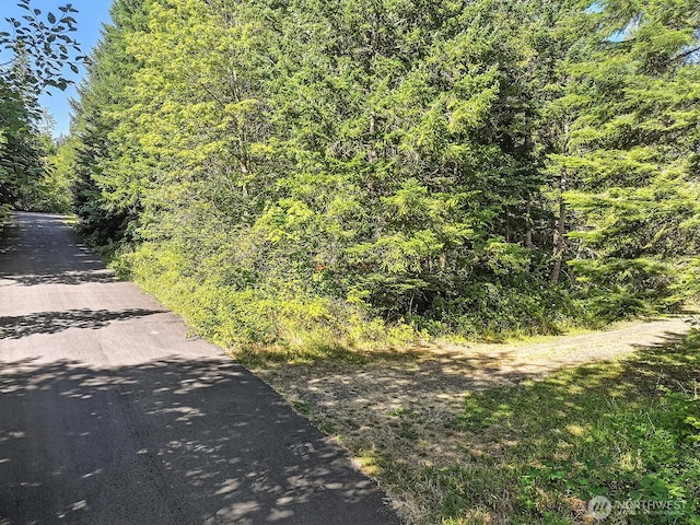 0 Fern Meadow Rd, Stevenson, WA 98648 - photo 16