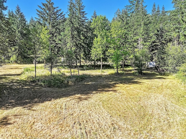 0 Fern Meadow Rd, Stevenson, WA 98648 - photo 17