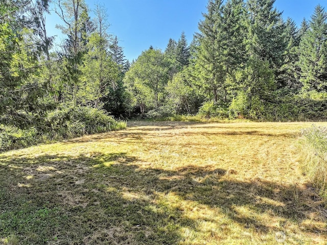 0 Fern Meadow Rd, Stevenson, WA 98648 - photo 18