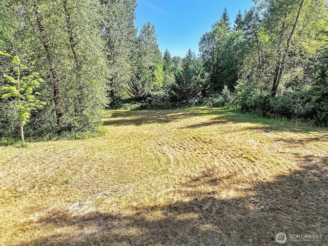 0 Fern Meadow Rd, Stevenson, WA 98648 - photo 22
