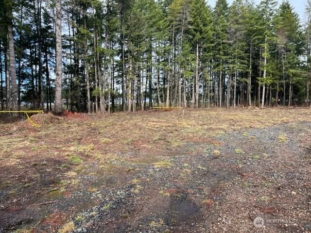100 E El Fuego Dr, Shelton, WA 98584 - photo 3