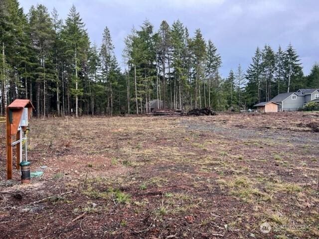 100 E El Fuego Dr, Shelton, WA 98584 - photo 1