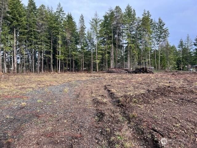 100 E El Fuego Dr, Shelton, WA 98584 - photo 4