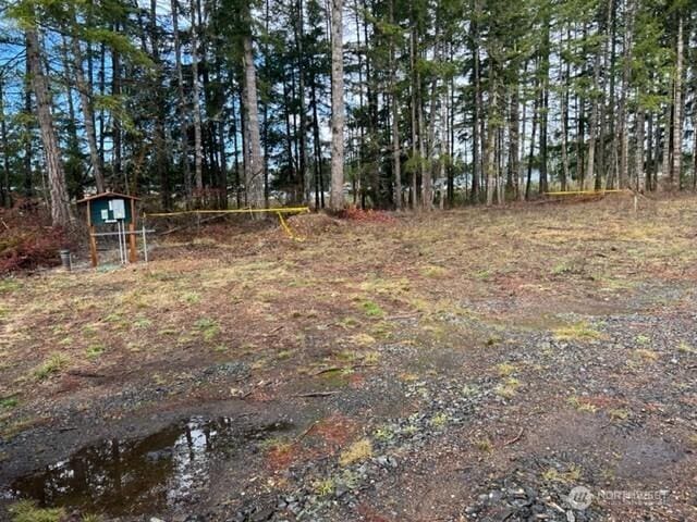 100 E El Fuego Dr, Shelton, WA 98584 - photo 5