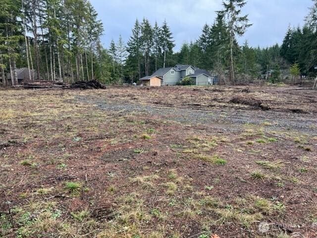 100 E El Fuego Dr, Shelton, WA 98584 - photo 6