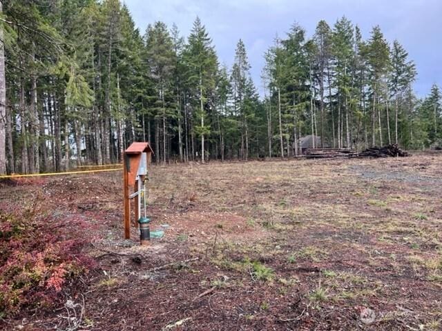 100 E El Fuego Dr, Shelton, WA 98584 - photo 7