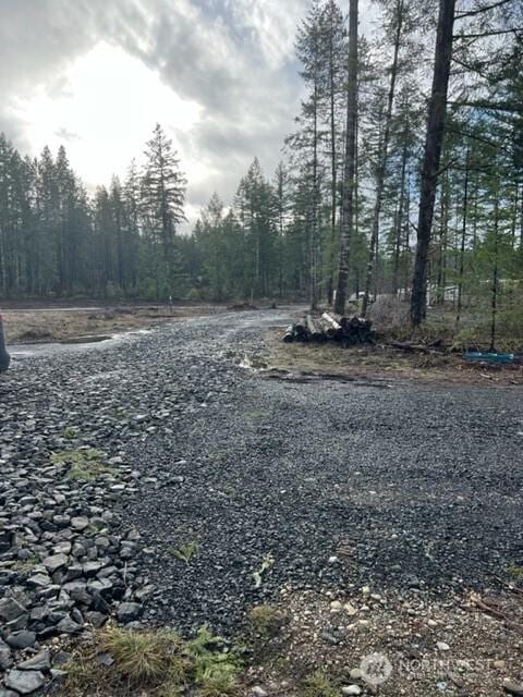 100 E El Fuego Dr, Shelton, WA 98584 - photo 8