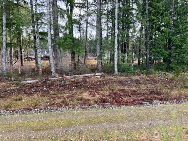 100 E El Fuego Dr, Shelton, WA 98584 - photo 9