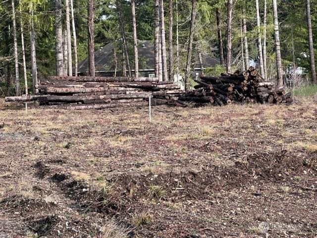 100 E El Fuego Dr, Shelton, WA 98584 - photo 11