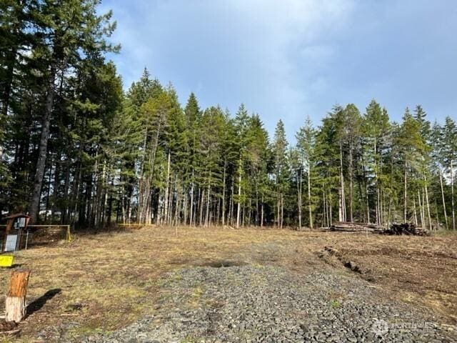 100 E El Fuego Dr, Shelton, WA 98584 - photo 12
