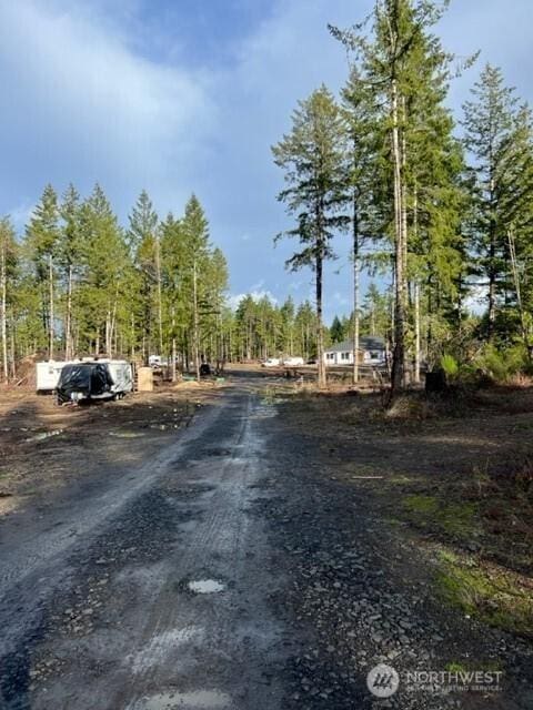 100 E El Fuego Dr, Shelton, WA 98584 - photo 13