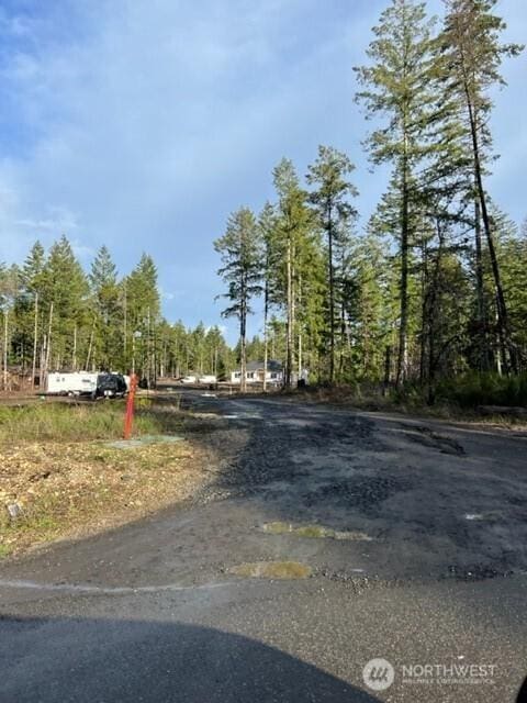 100 E El Fuego Dr, Shelton, WA 98584 - photo 14