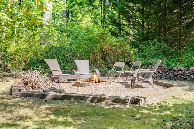 17043 156th Ln SE, Yelm, WA 98597 - photo 29