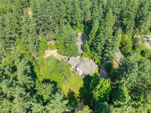 17043 156th Ln SE, Yelm, WA 98597 - photo 37