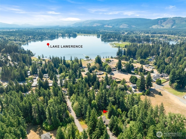 17043 156th Ln SE, Yelm, WA 98597 - photo 39