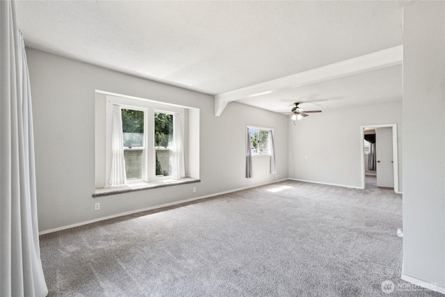 5036 S I St, Tacoma, WA 98408 - photo 9