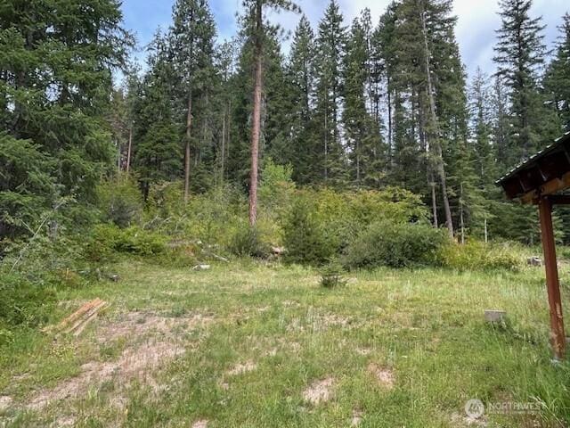 2205 Pine Tree Rd, Leavenworth, WA 98826 - photo 6