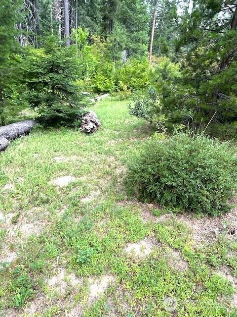 2205 Pine Tree Rd, Leavenworth, WA 98826 - photo 5