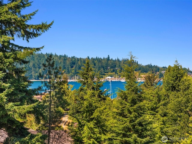 192 Ludlow Bay Rd, Port Ludlow, WA 98365 - photo 14