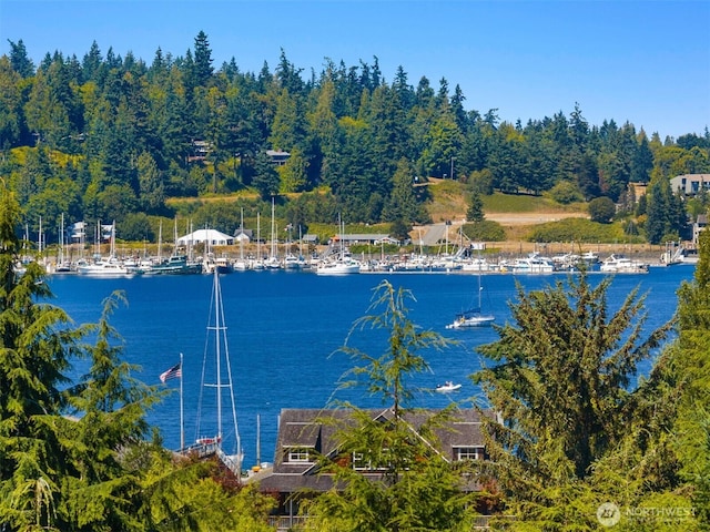 192 Ludlow Bay Rd, Port Ludlow, WA 98365 - photo 19