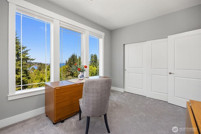 192 Ludlow Bay Rd, Port Ludlow, WA 98365 - photo 27