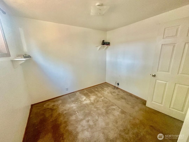 928 107th Street Ct E, Tacoma, WA 98444 - photo 13