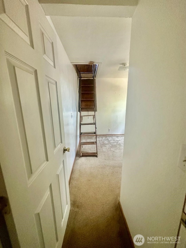 928 107th Street Ct E, Tacoma, WA 98444 - photo 15