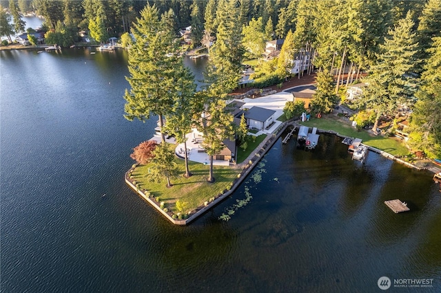30225 234th Ave SE, Black Diamond, WA 98010 - photo 3