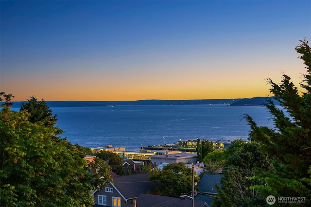 1611 9th Ave W, Seattle, WA 98119 - photo 8