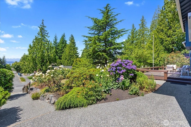 18912 88th Ave W, Edmonds, WA 98026 - photo 33