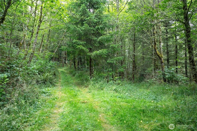 0XX 00, Mount Vernon, WA 98274 - photo 9