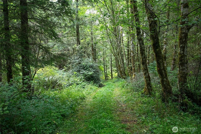 0XX 00, Mount Vernon, WA 98274 - photo 10