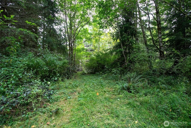 0XX 00, Mount Vernon, WA 98274 - photo 11