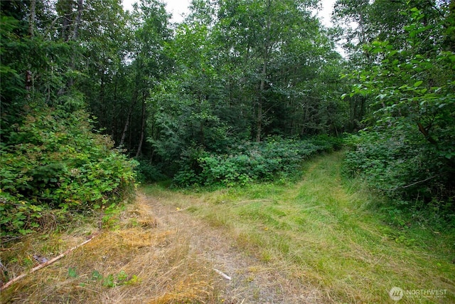 0XX 00, Mount Vernon, WA 98274 - photo 12