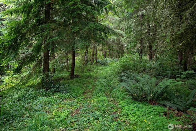 0XX 00, Mount Vernon, WA 98274 - photo 13
