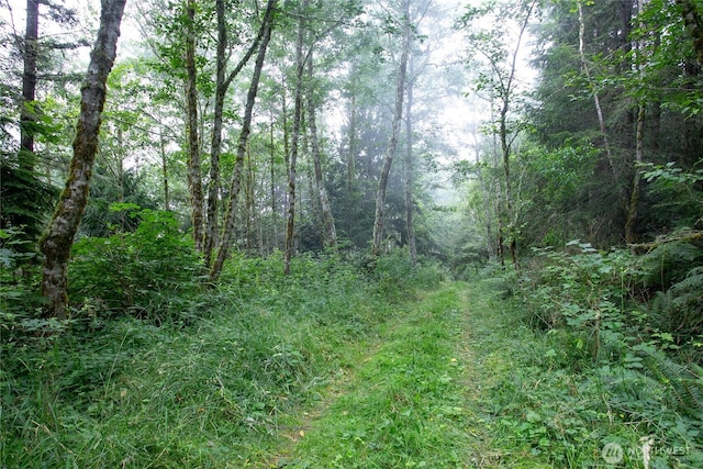0XX 00, Mount Vernon, WA 98274 - photo 14